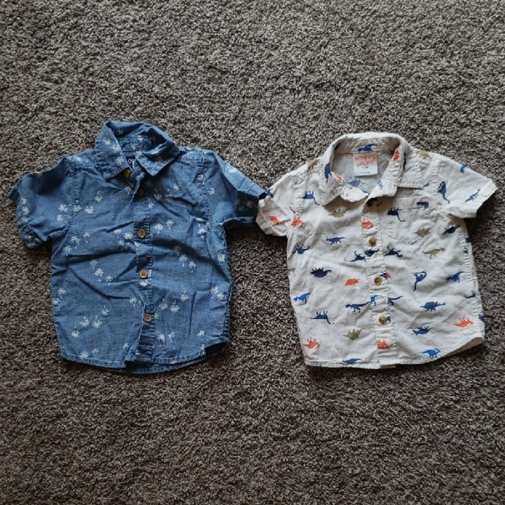 Bundle Of 2 EUC 100% Cotton Short-Sleeve Button-down Shirts Size 12 Months